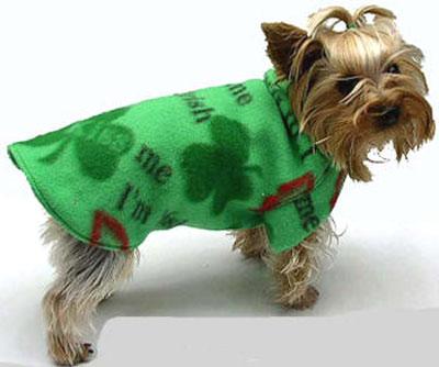 Irish doggie