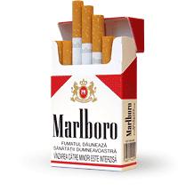 marlboro
