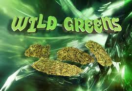 Chronic
