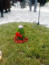 SEMENİ VE YUMURTA İSMAİLLİDE