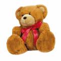 Teddy