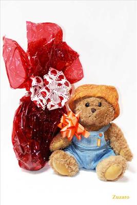 Oso De Peluche