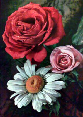 Ti voglio bene...Happiness