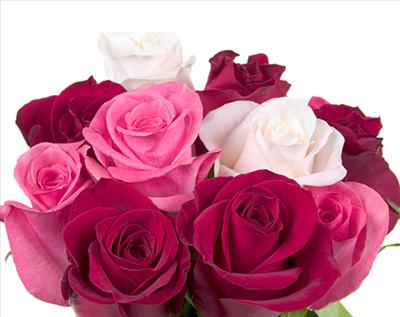 Just For You