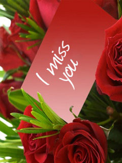 Miss You Friend