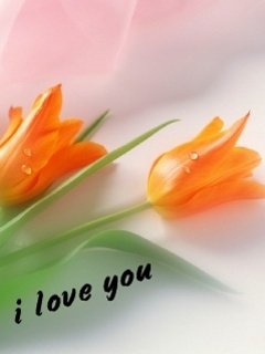 Love U