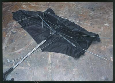 A Broken Umbrella