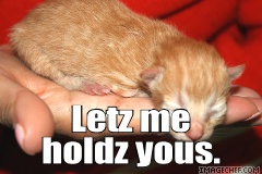 Holdz you