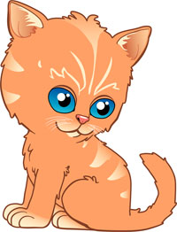 Kitten