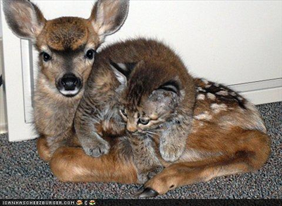 Bambi and Kitty