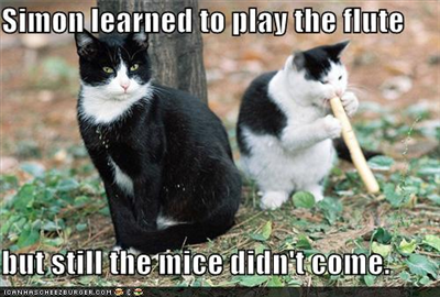 Simon learned to play the flute but still the mice didn’t come.
