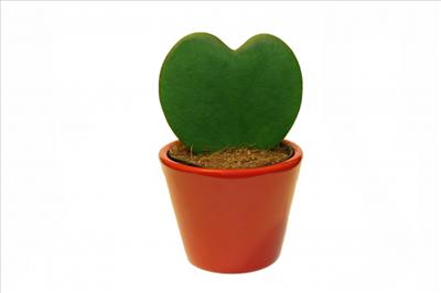 Green Heart