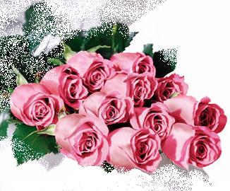 flowers 1