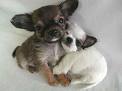 a tight cosy hug