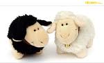 sheep frnds