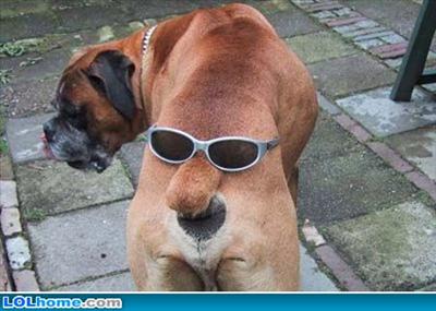 funny 8