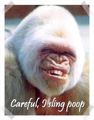 funny 2