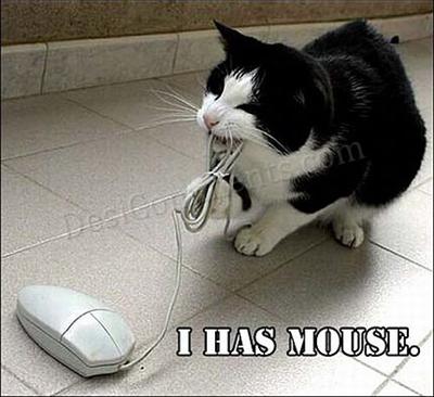 funny 4