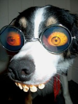 funny 3