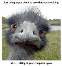 funny 12