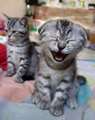 funny 14