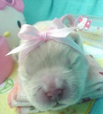 Im your sweety