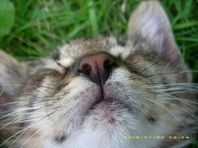 kiss me :)