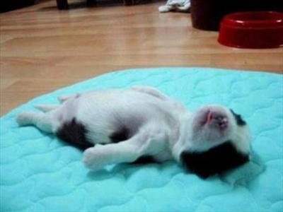 I'm so tired