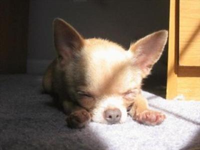 sleep