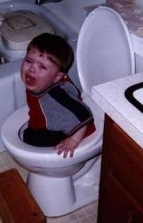 Toilet Bowl eat Toddler