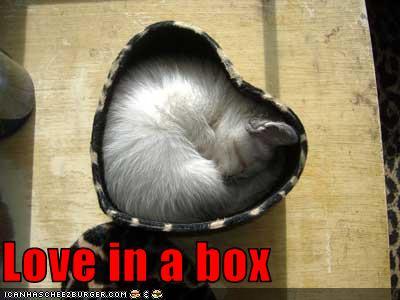Love in a box