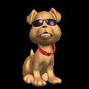 dog 2