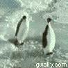 penguin 