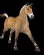 horse 2