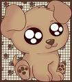 Puppy