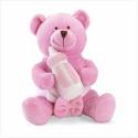 Pink Teddy Bear