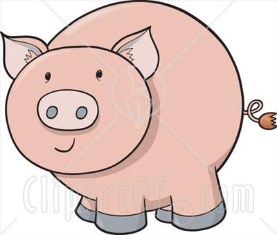 cute pig