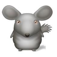 Chinchilla