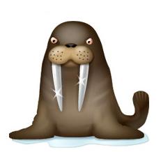 Walrus
