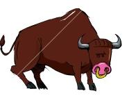 Bull