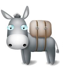 Donkey