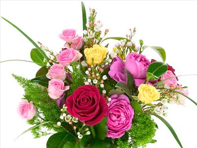bunch of roses