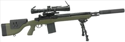 M14 DMR