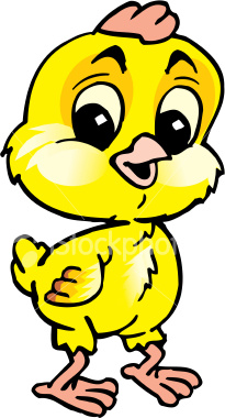 Baby Chick