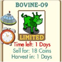 BOVİNE-09