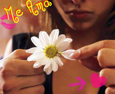 te ama