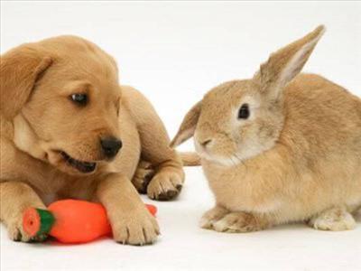 HAPPY EASTER!