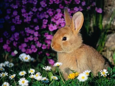 HAPPY EASTER!