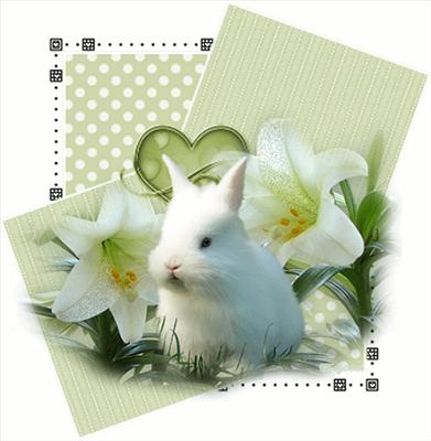 HAPPY HAPPY EASTER!