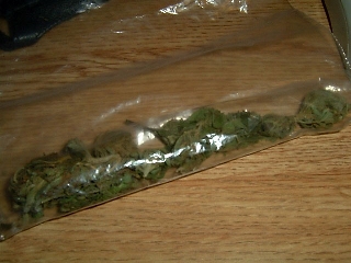 Nickelbag
